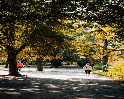 Spokojny spacer w pobliskim parku